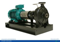 ISO 5199 long coupled pump with ISO plan 02 - C Series