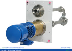 ISO 5199 industrial vertical sump pump - T Series