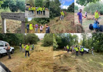 Staff volunteered at Greenways Countryside Project